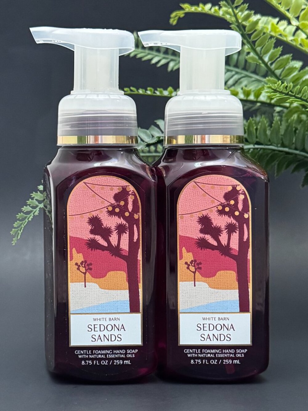 Bath & Body Works BBW White Barn Sedona Sands Gentle Foaming Hand Soaps X 2
